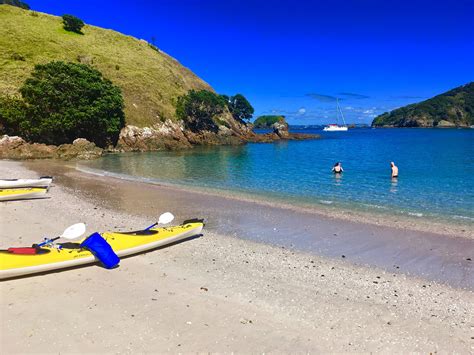 Bay of Islands Kayaking - All You Need to Know BEFORE You Go (2024)