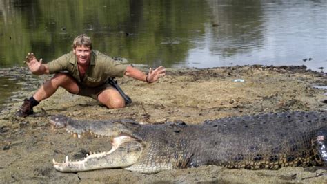 Dealing with Wildlife, Part 2: Crocodiles