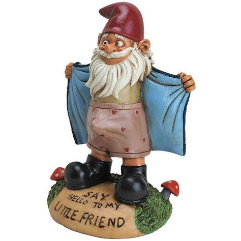 16 Funny gnomes ideas | gnomes, gnome garden, funny gnomes