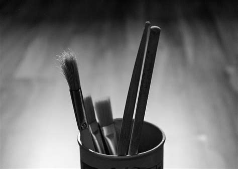 Free stock photo of black and white, brush, brushes