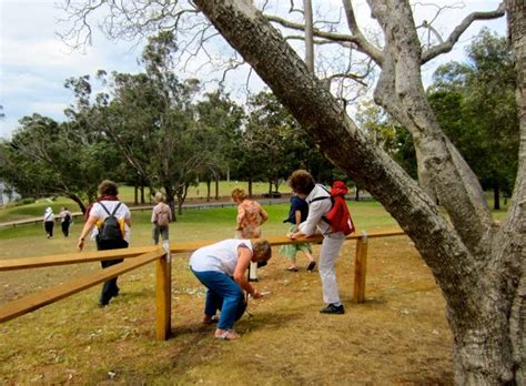 Carolle's Walking Group: 55 Parramatta River Walk