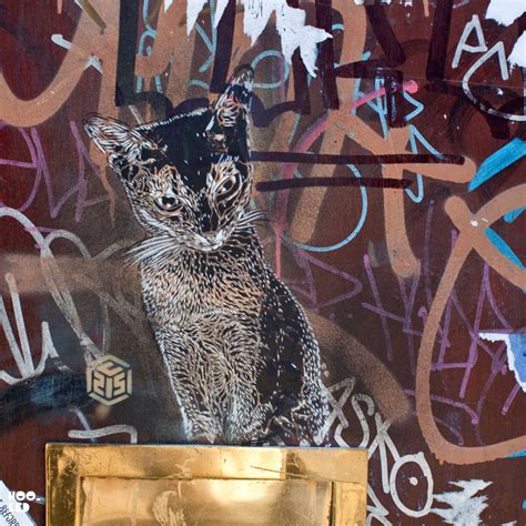 C215 's Clowder of Cats | Hookedblog - Street Art from London and beyond