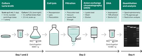 Cell culture process development for AAV vector production in ...