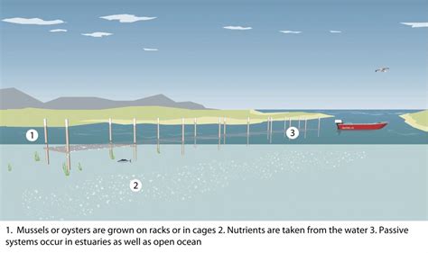 Aquaculture Methods - Good Fish Bad Fish