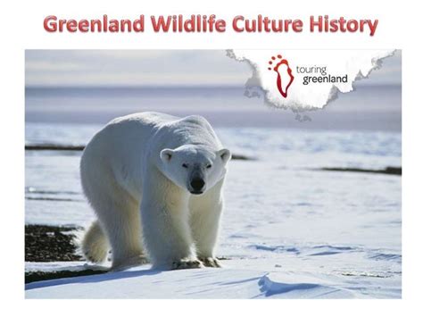 Greenland History And Culture