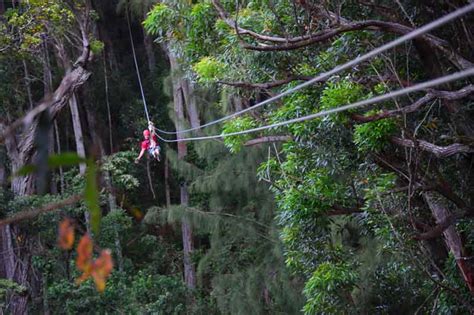 Kohala Zipline