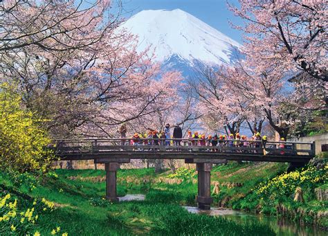 11.新名庄川 – 日本富士山協会