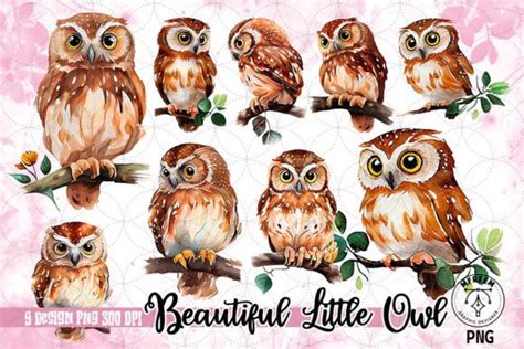 Beautiful Little Owl Watercolor Clipart Graphic by mfreem · Creative ...