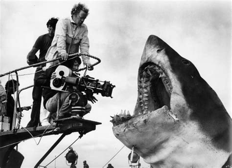 Behind the Scenes of JAWS » Whalebone