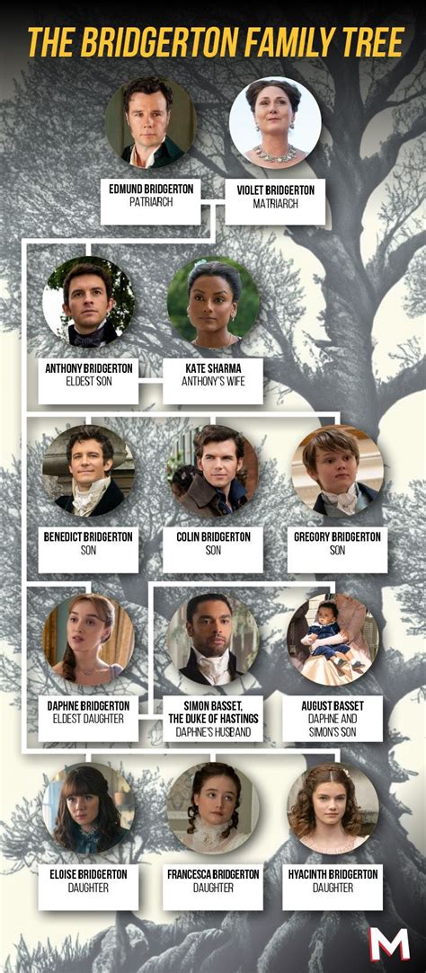 Bridgerton Season 3 Family Tree and Character Ages, Explained