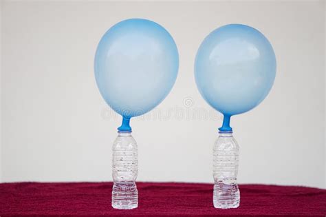 Science Experiment about Balloons Stock Photo - Image of baking, class: 273256118