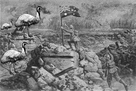 Emu War Battle 1 by iljaheld on DeviantArt