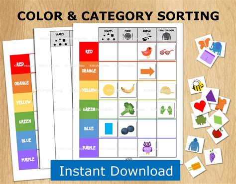 Color Sorting Activity, Classification Printable for Preschool, Toddler Busy Book Pages ...