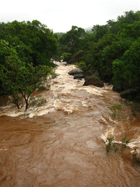 Overflowing muddy river stock photo. Image of forestry - 3030068