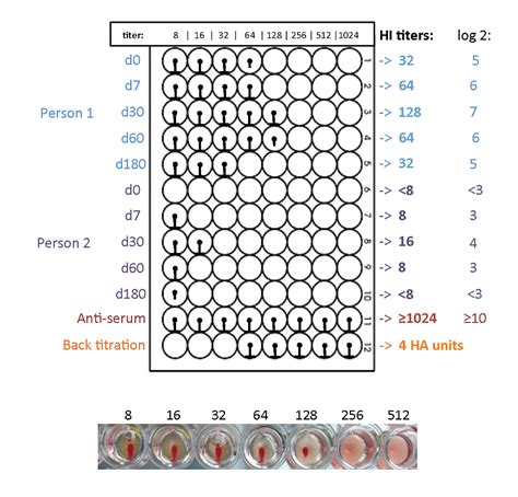 An Optimized Hemagglutination Inhibition (HI) Assay to Quantify Influenza-specific Antibody ...