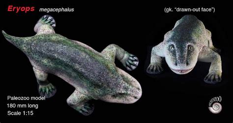 Eryops megacephalus model from Paleozoo.