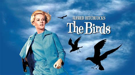 The Birds (1963) - Movie - Where To Watch