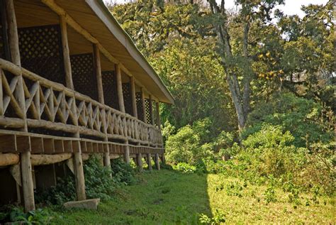 Rhino Lodge | Ngorongoro Crater | Conservation Area | Tanzania