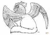 Rooster Griffin coloring Page  Free Printable Coloring Pages sketch template