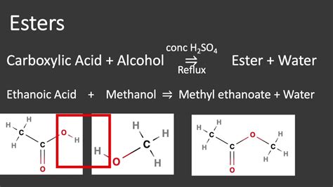 Carboxylic Acids and Esters - YouTube