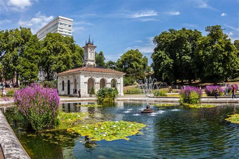 How Nature made a comeback in London's parks during the year of Covid-19 - Country Life