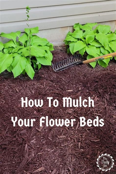 How To Mulch Your Flower Beds in 2023 | Garden mulch, Mulch landscaping ...