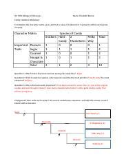 Free cladistics worksheet, Download Free cladistics worksheet png ...