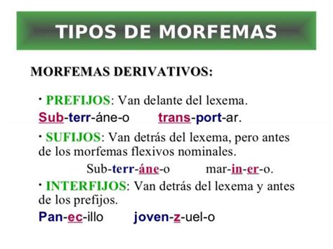 Diferencia entre morfema flexivo y derivativo