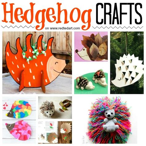 Hedgehog Activities For Kids