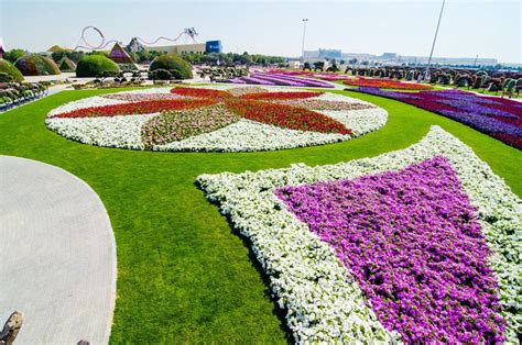 "Чудо Сад" в Дубае (Dubai Miracle Garden) - самый большой парк цветов в мире, ОАЭ — Мир красив ...