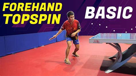 Basic Forehand Topspin | Table Tennis Tutorial | Table Tennis Review [4k] - YouTube