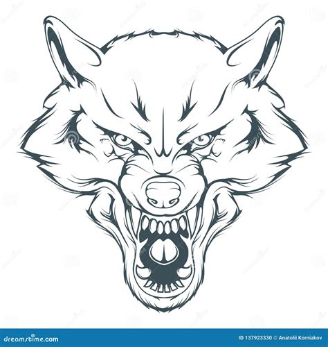 Wolf Head Vector Drawing, Wolf Face Drawing Sketch, Wolf Head in Black and White Stock Vector ...