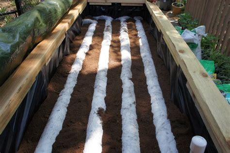 Inside of the self watering raised vegetable garden with Peat Moss ...