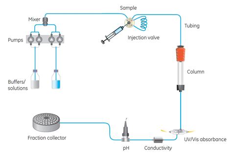 Benefits of automated protein purification | Cytiva