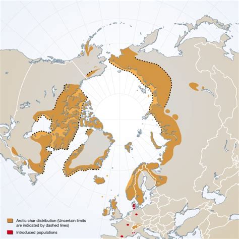 1: The distribution of Arctic char species complex, sensu stricto, and ...