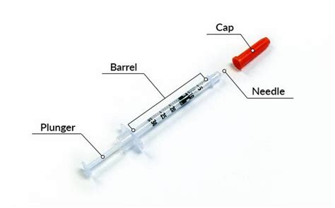 Syringe and Needle Sizes - How to choose (Guide) - Laboratoryinfo.com