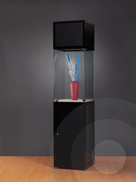 Tall Museum Display Case With Plinth And Header
