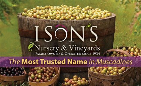 The Tradition of Ison’s - Ison's Nursery & Vineyard | Berry plants ...