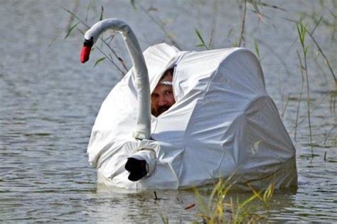 Funny swan photographer - OMG ! NiceOne