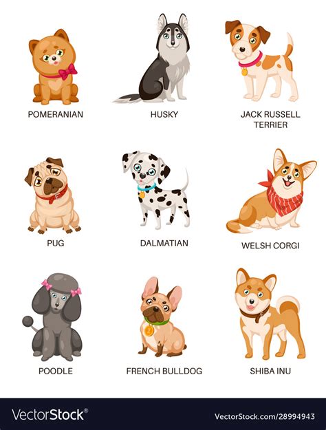 Cute puppies funny dogs different breeds Vector Image