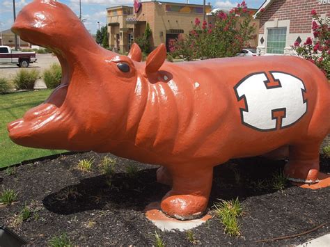 Hutto Hippo, Hutto, TX | Flickr - Photo Sharing!