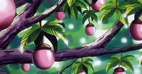 Pokémon: The Ideal Pokémon To Use Each Apricorn Ball On (& The Worst)