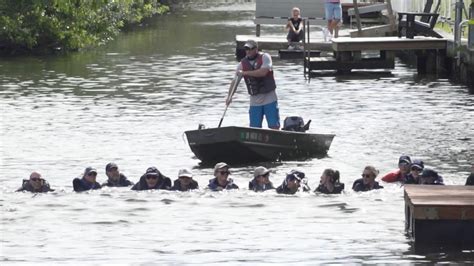 Rescuers form human chain to rescue stranded dolphin - Good Morning America