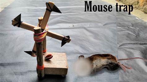 15 Best Homemade Mouse Trap Ideas That Really Work