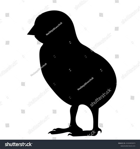 Chicken Black Silhouette Isolated Vector Stock Vector (Royalty Free) 2143455973 | Shutterstock