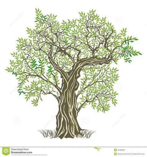 tree image graphic - Google Search | Tree illustration, Tree drawing ...