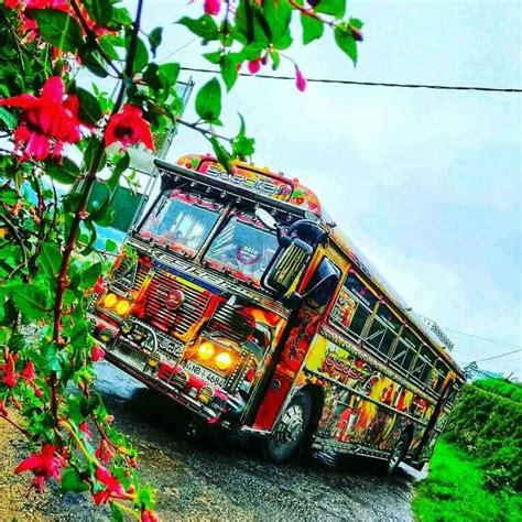 Bus in sri lanka