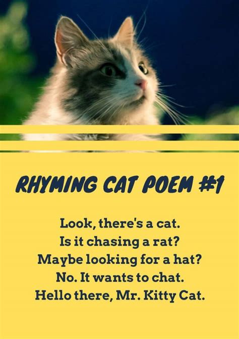 20+ Poems About Cats Funny - SaroashElden