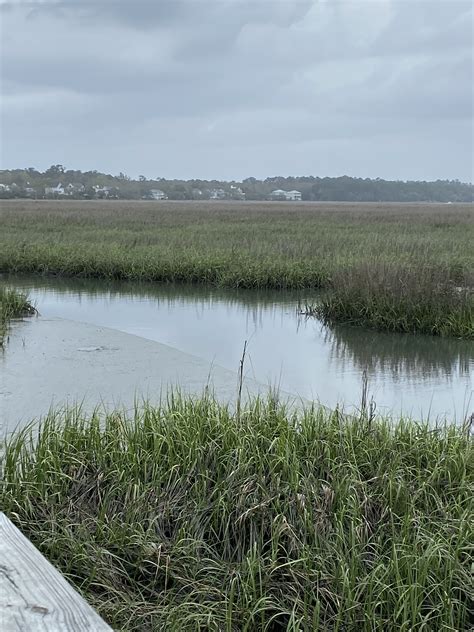 Pin by Judy Klopp on Huntington Beach State Park | Natural landmarks ...