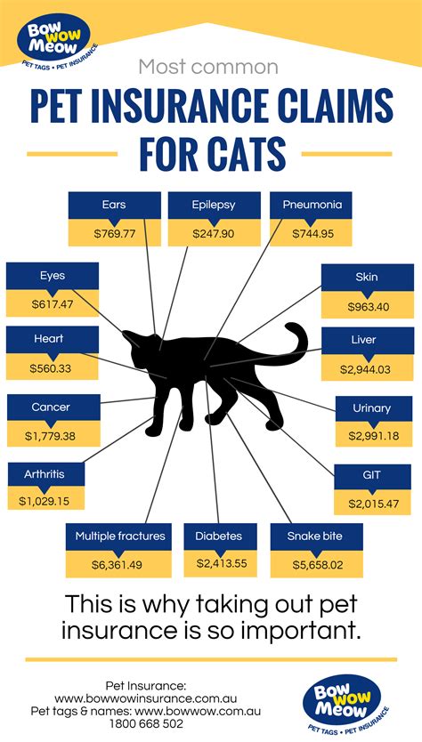 Cat Insurance - Health Insurance Claims For Cat Insurance